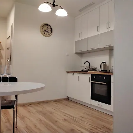 Gotycki Duch Apartment Torun Exterior photo