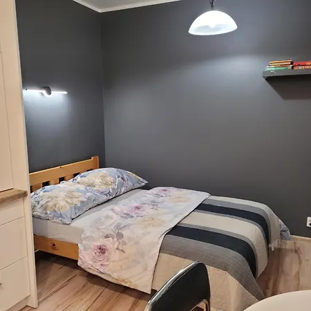 Gotycki Duch Apartment Torun Exterior photo